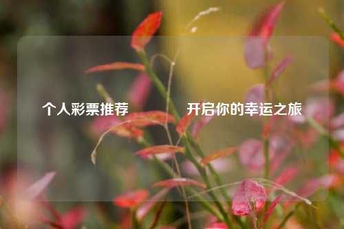 个人彩票推荐👍开启你的幸运之旅