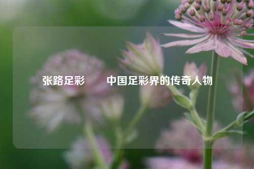 张路足彩✌️中国足彩界的传奇人物