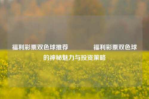 福利彩票双色球推荐👍福利彩票双色球的神秘魅力与投资策略