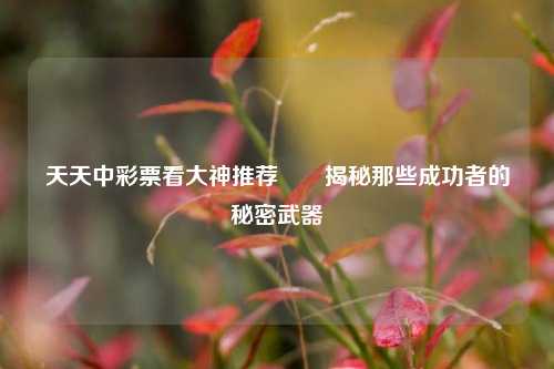天天中彩票看大神推荐✌️揭秘那些成功者的秘密武器