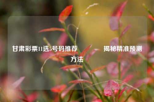 甘肃彩票11选5号码推荐🏆揭秘精准预测方法