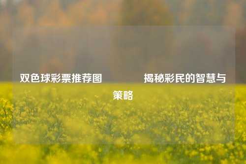 双色球彩票推荐图🏅揭秘彩民的智慧与策略