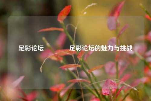 足彩论坛👉足彩论坛的魅力与挑战