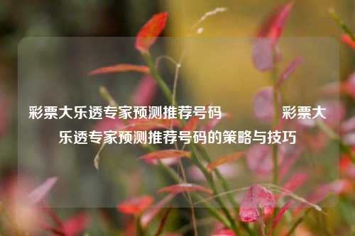 彩票大乐透专家预测推荐号码🌈彩票大乐透专家预测推荐号码的策略与技巧
