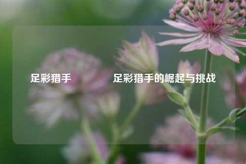 足彩猎手👉足彩猎手的崛起与挑战