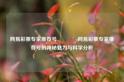 网易彩票专家推荐号🥇网易彩票专家推荐号的神秘魅力与科学分析