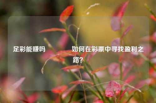 足彩能赚吗🏆如何在彩票中寻找盈利之路？
