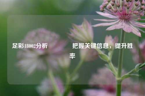 足彩18002分析🥈把握关键信息，提升胜率