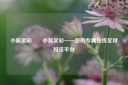 小赢足彩✌️小赢足彩——您的专属在线足球投注平台