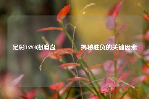 足彩16200期澳盘🥉揭秘胜负的关键因素
