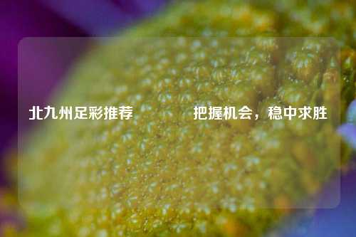 北九州足彩推荐🥈把握机会，稳中求胜