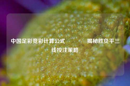 中国足彩竞彩计算公式👍揭秘胜负平三线投注策略