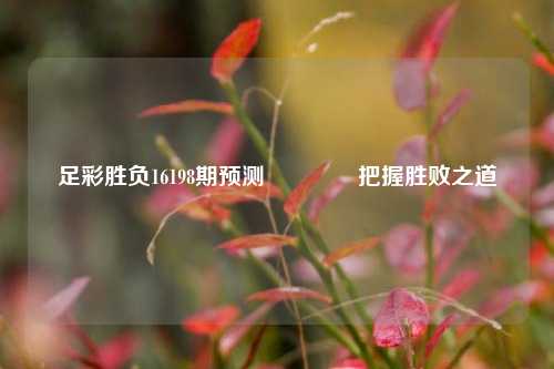 足彩胜负16198期预测👉把握胜败之道