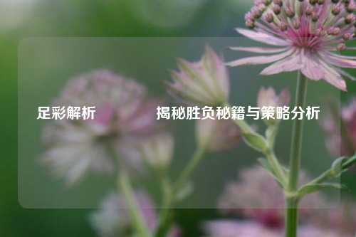 足彩解析👍揭秘胜负秘籍与策略分析