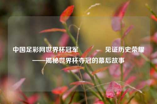 中国足彩网世界杯冠军🥇见证历史荣耀——揭秘世界杯夺冠的幕后故事