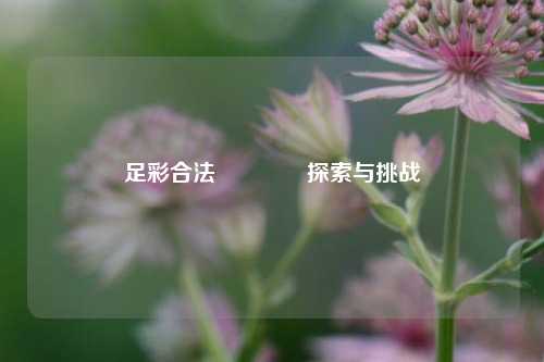 足彩合法👈探索与挑战