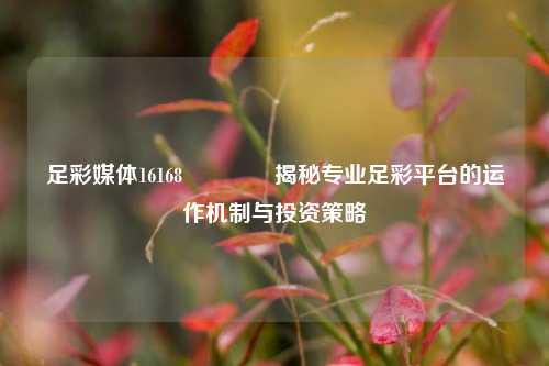 足彩媒体16168🥉揭秘专业足彩平台的运作机制与投资策略