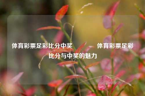 体育彩票足彩比分中奖👈体育彩票足彩比分与中奖的魅力
