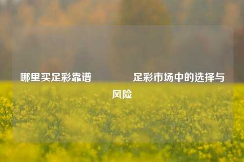 哪里买足彩靠谱👍足彩市场中的选择与风险