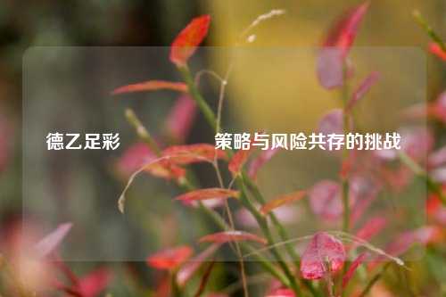 德乙足彩🎖️策略与风险共存的挑战