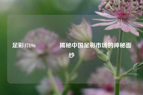 足彩17196🌈揭秘中国足彩市场的神秘面纱