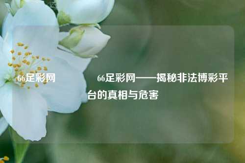 66足彩网🥉66足彩网——揭秘非法博彩平台的真相与危害