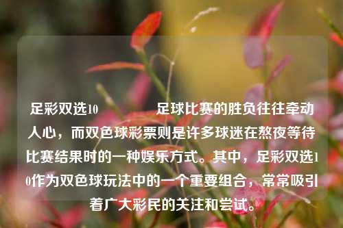 足彩双选10🏅足球比赛的胜负往往牵动人心，而双色球彩票则是许多球迷在熬夜等待比赛结果时的一种娱乐方式。其中，足彩双选10作为双色球玩法中的一个重要组合，常常吸引着广大彩民的关注和尝试。