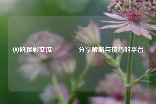 QQ群足彩交流🏆分享策略与技巧的平台