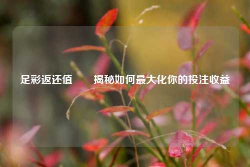 足彩返还值✌️揭秘如何最大化你的投注收益