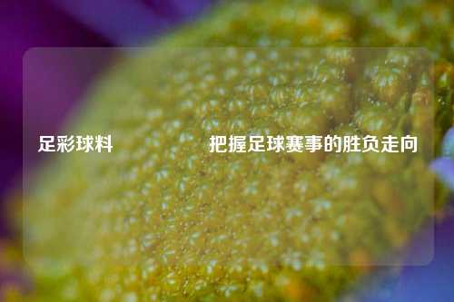 足彩球料🎖️把握足球赛事的胜负走向