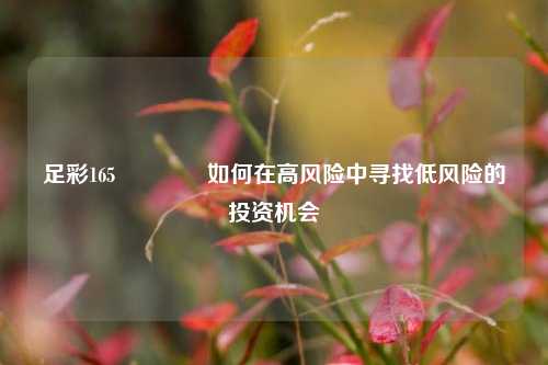 足彩165👉如何在高风险中寻找低风险的投资机会