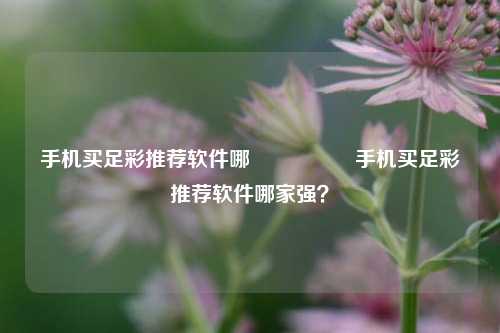 手机买足彩推荐软件哪🎖️手机买足彩推荐软件哪家强？