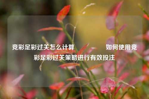 竞彩足彩过关怎么计算🎖️如何使用竞彩足彩过关策略进行有效投注