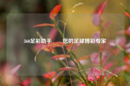 360足彩助手✌️您的足球博彩专家