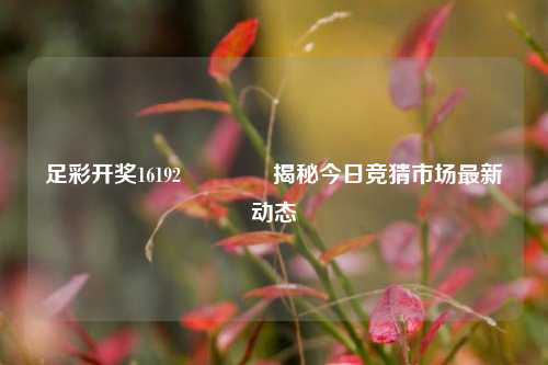 足彩开奖16192👉揭秘今日竞猜市场最新动态