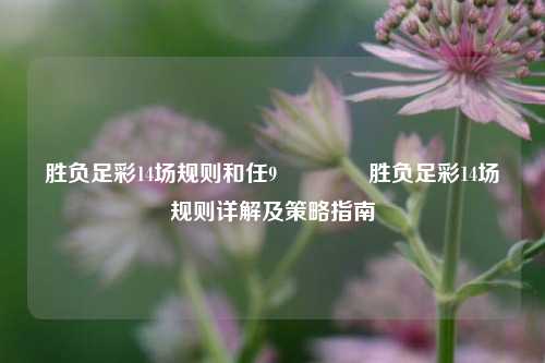 胜负足彩14场规则和任9🥇胜负足彩14场规则详解及策略指南