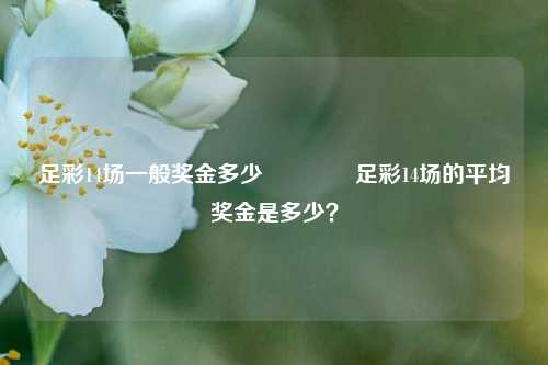 足彩14场一般奖金多少🥈足彩14场的平均奖金是多少？
