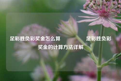 足彩胜负彩奖金怎么算🎖️足彩胜负彩奖金的计算方法详解