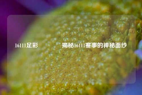 16111足彩🥈揭秘16111赛事的神秘面纱