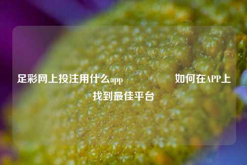 足彩网上投注用什么app🎖️如何在APP上找到最佳平台