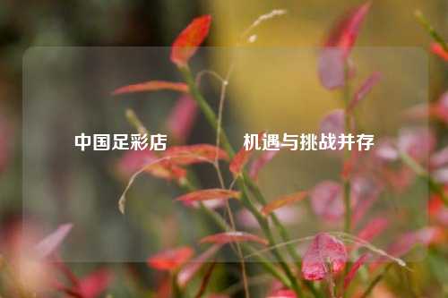 中国足彩店🏅机遇与挑战并存