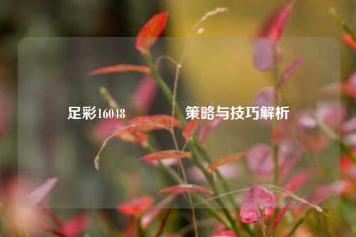 足彩16048🌈策略与技巧解析