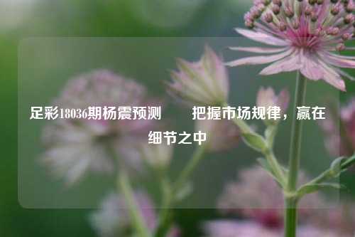 足彩18036期杨震预测✌️把握市场规律，赢在细节之中
