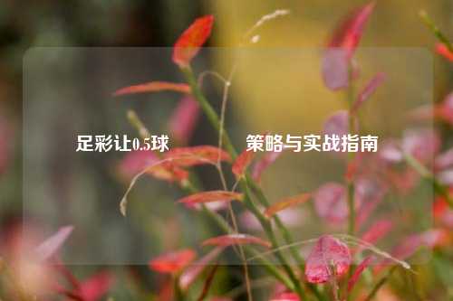 足彩让0.5球👍策略与实战指南