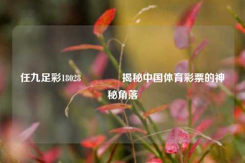 任九足彩18028👍揭秘中国体育彩票的神秘角落