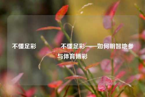 不懂足彩👈不懂足彩——如何明智地参与体育博彩