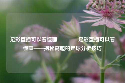 足彩直播可以看懂画👍足彩直播可以看懂画——揭秘高超的足球分析技巧