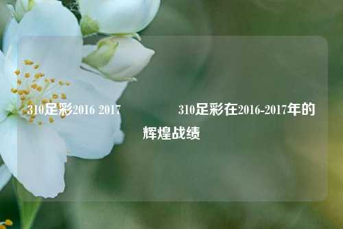 310足彩2016 2017🏅310足彩在2016-2017年的辉煌战绩