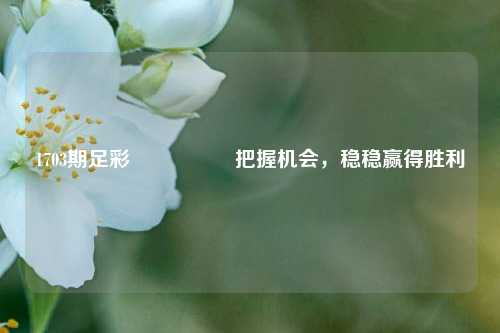 1703期足彩🎖️把握机会，稳稳赢得胜利