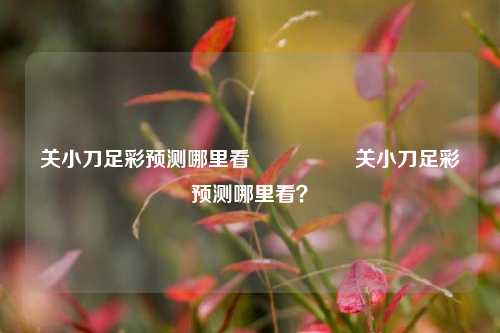 关小刀足彩预测哪里看🎖️关小刀足彩预测哪里看？